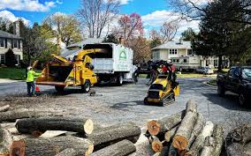 Leaf Removal in Temple, TX